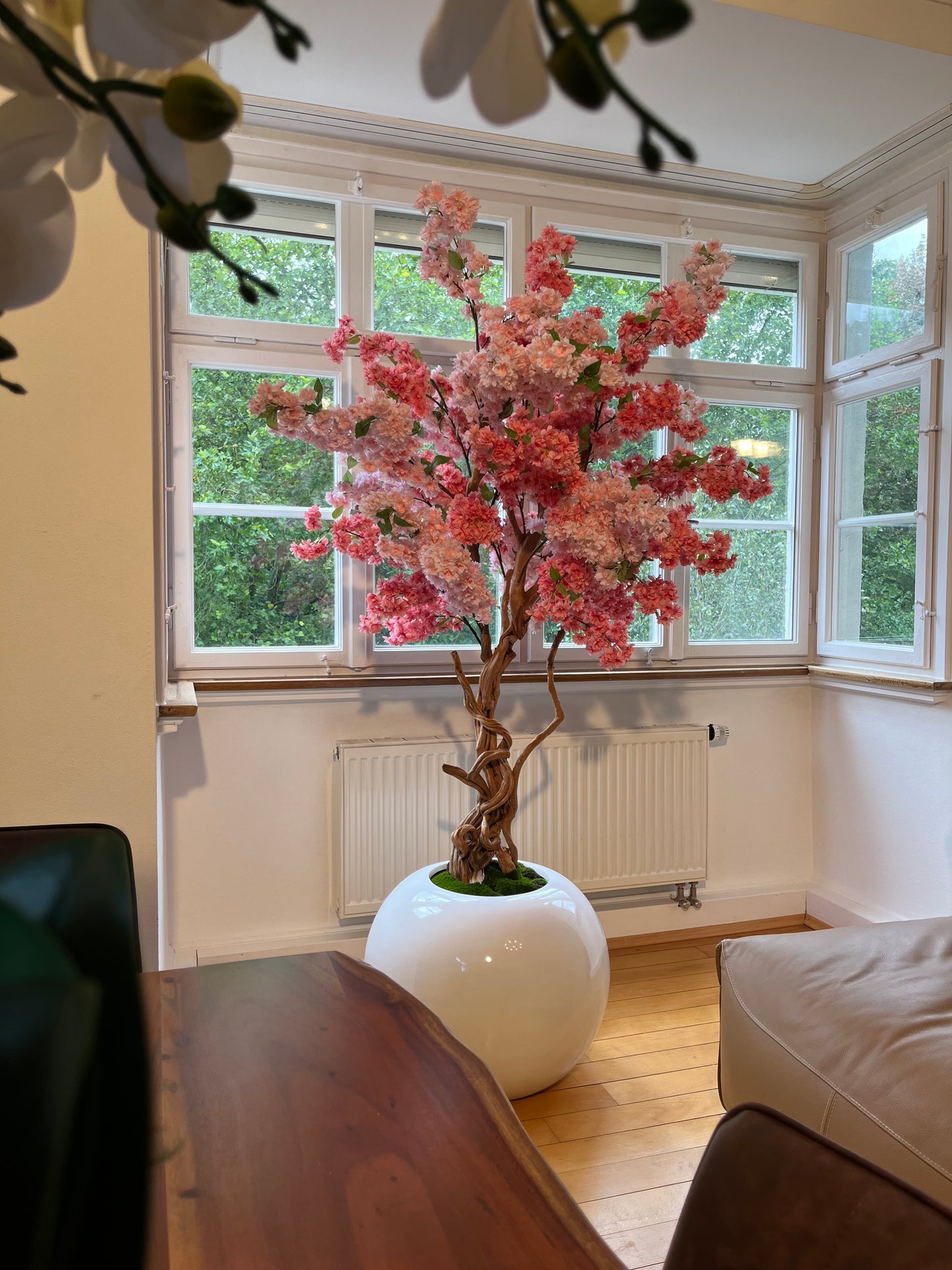 Rosa Kirschblütenbaum mit weißem Topf - Pflegeleicht & Allergikerfreundlich