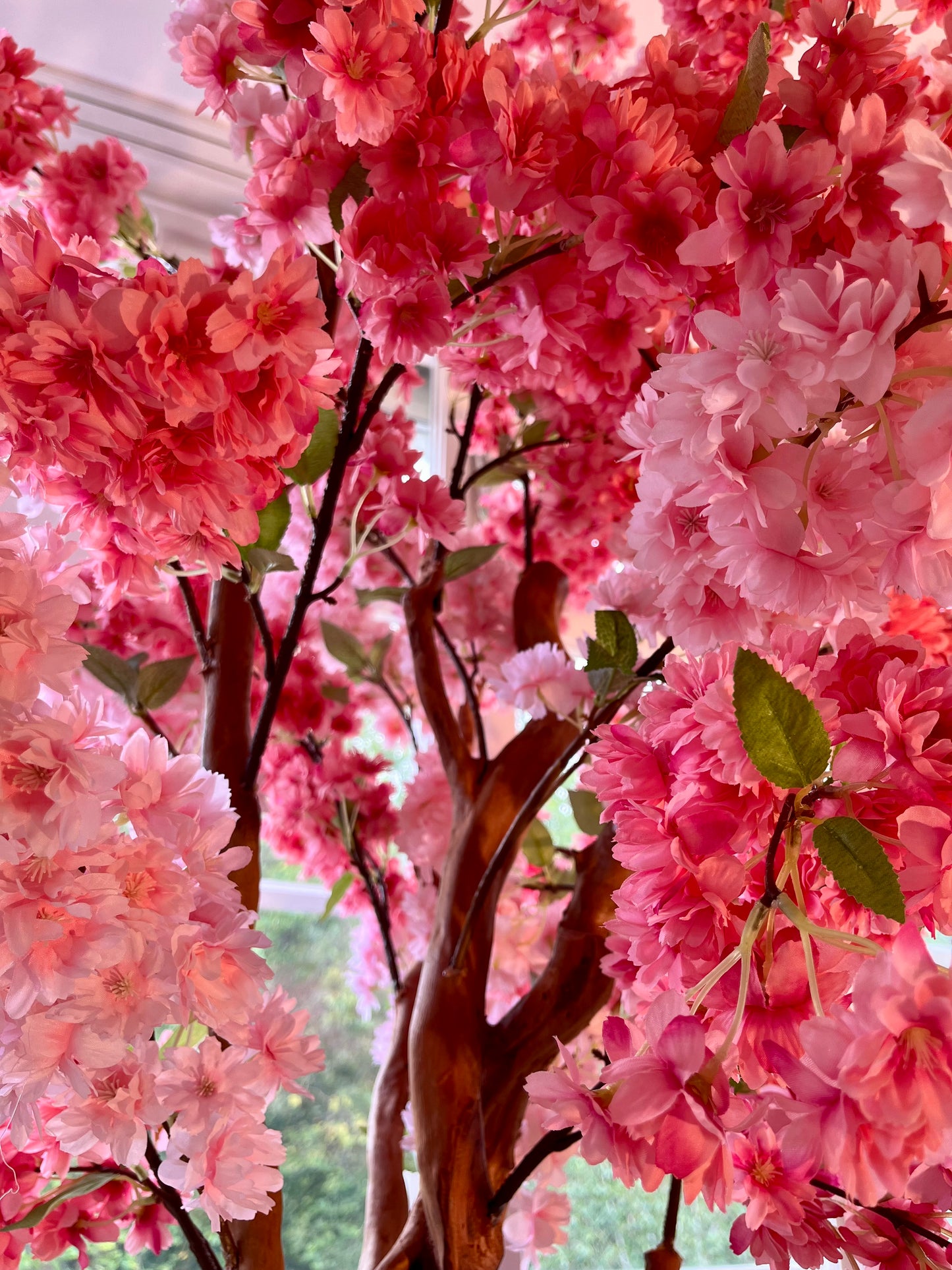 Rosa Kirschblütenbaum mit weißem Topf - Pflegeleicht & Allergikerfreundlich